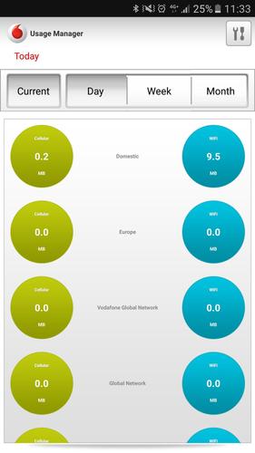 Vodafone Usage Manager