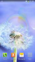 dandelion fly to the sun