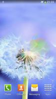 dandelion fly to the sun