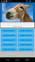 Donkey Sounds funny