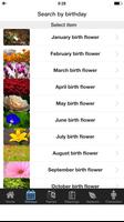 Flower Meanings Dictionary