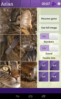 Cat + Kitten Quiz Slide Puzzle