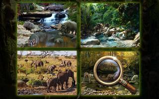 Hidden Objects: Animal Kingdom