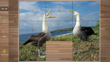 Bird Puzzle Games