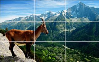 Puzzle - Wild animals