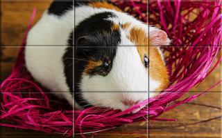 Puzzle - Cute Hamsters