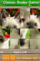 Cats Puzzle