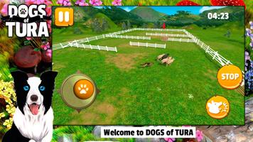 DOGS of TURA