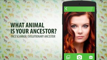 What Animal Origins Simulator