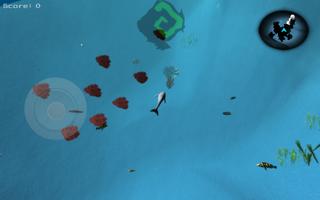 Coral Reef Dolphin Simulator