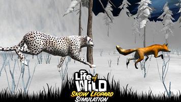 Life of Wild Snow Leopard 3D