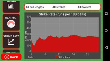 Smash and Slog Cricket