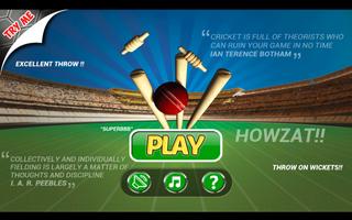 Cricket Run Out 3D