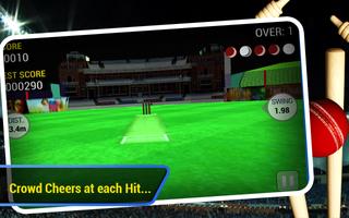 Cricket Run Out 3D