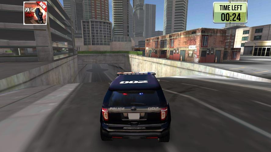 CRAZY POLICE PURSUIT 3D