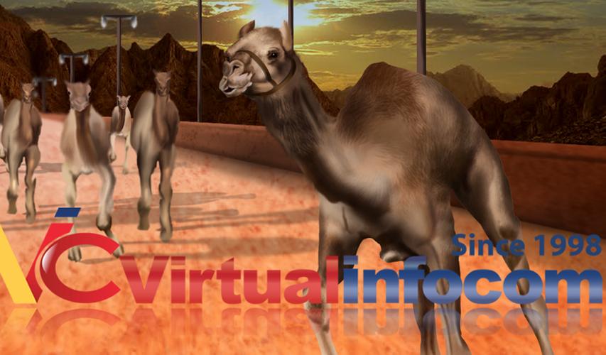 Camel race 3D