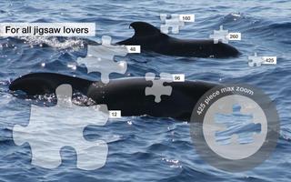 Whale Jigsaw Puzzles Demo