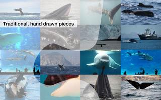 Whale Jigsaw Puzzles Demo