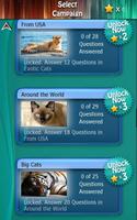 Kitty Cat Breeds Quiz HD