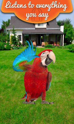 Real Talking Parrot