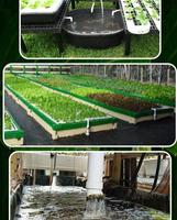 Aquaponic Farm Design