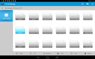 HP File Manager