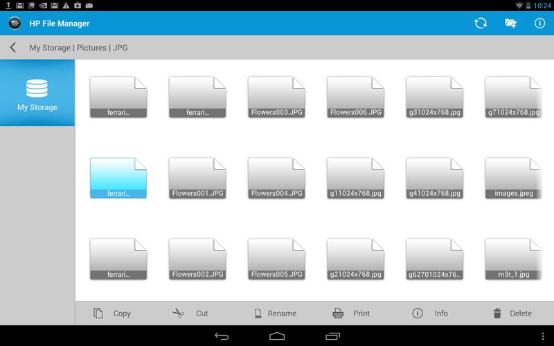 HP File Manager