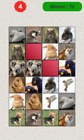 Animals Matching Game