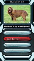 Dog Breed Animal Quiz Game