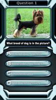 Dog Breed Animal Quiz Game