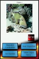 Marine Animals Picture Quiz