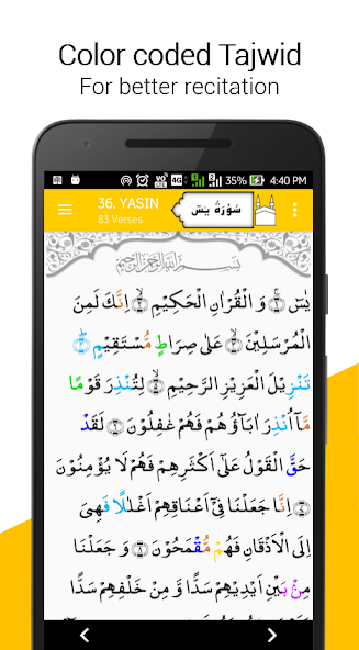 Quran + Tajweed + Audio 2024