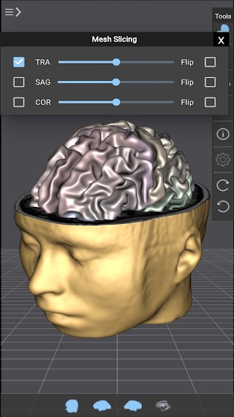 Brain Tutor 3D