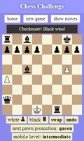 Chess Challenge