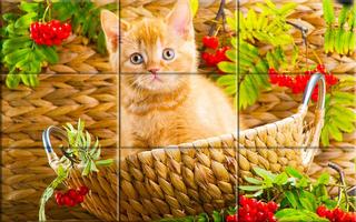 Puzzle - kittens