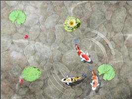 Feed the Koi fish Kids Game