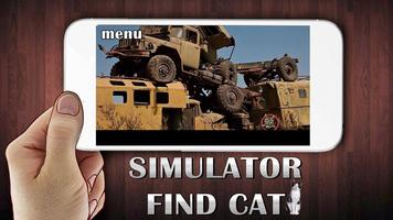 Simulator Find Cat