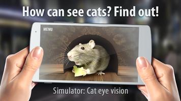 Meow: Cat Eyes Vision Joke