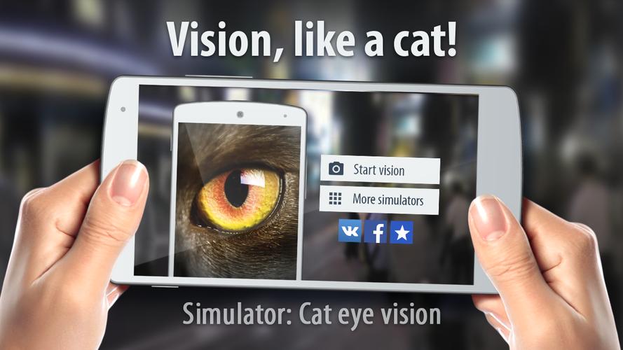 Meow: Cat Eyes Vision Joke