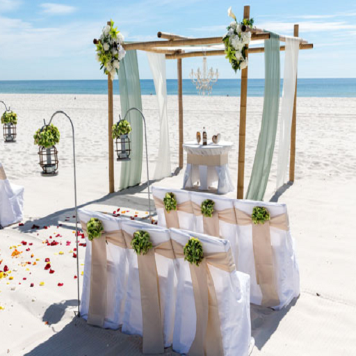 Beach Wedding