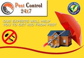 Pest Control 24x7