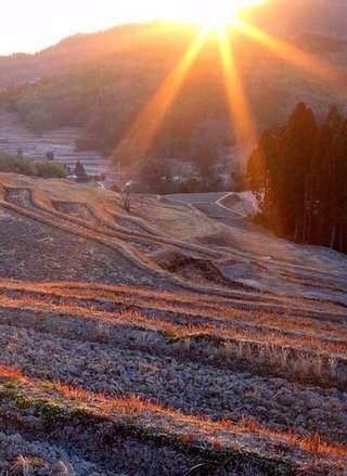 Rice Terrace Puzzle