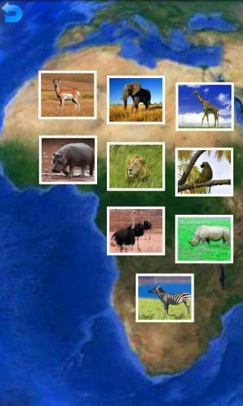 Animal Puzzle