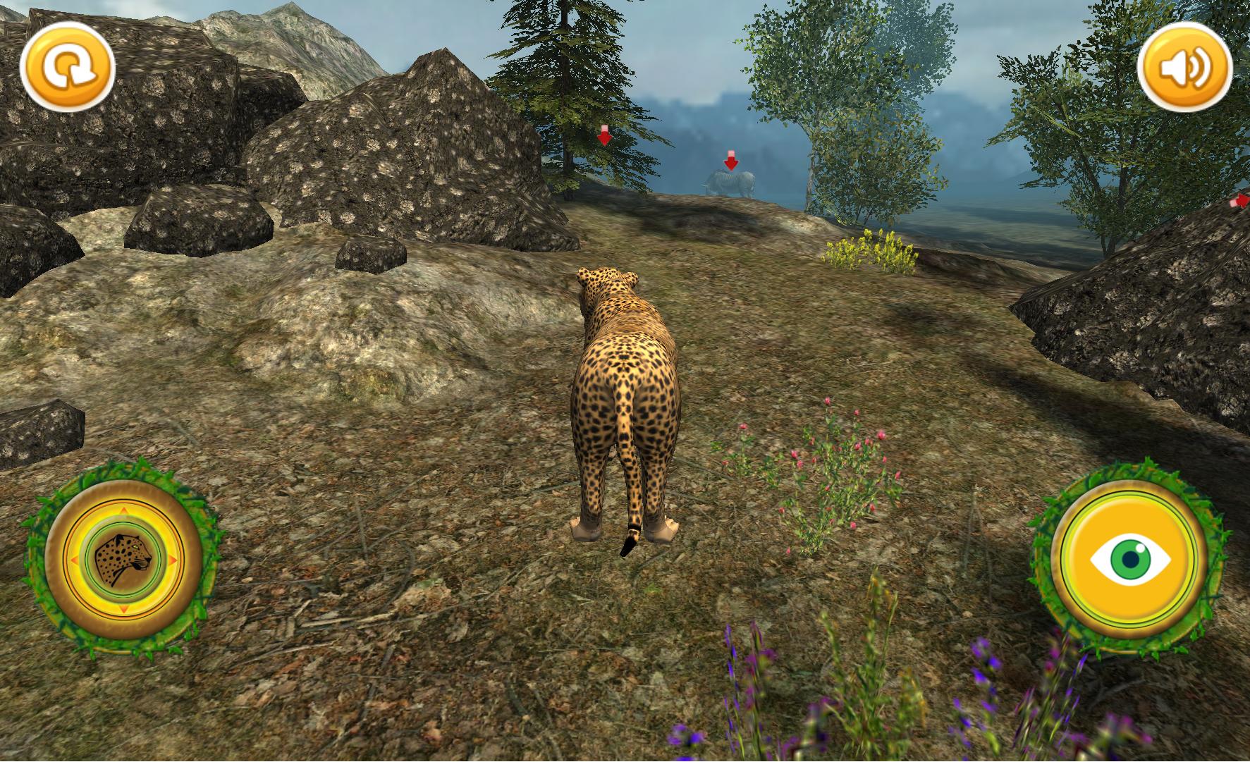 Real Cheetah Simulator