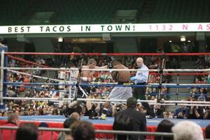 Boxing Lessons