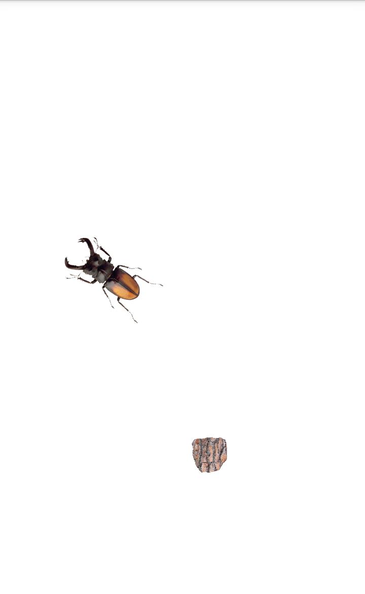 Beetle simulator