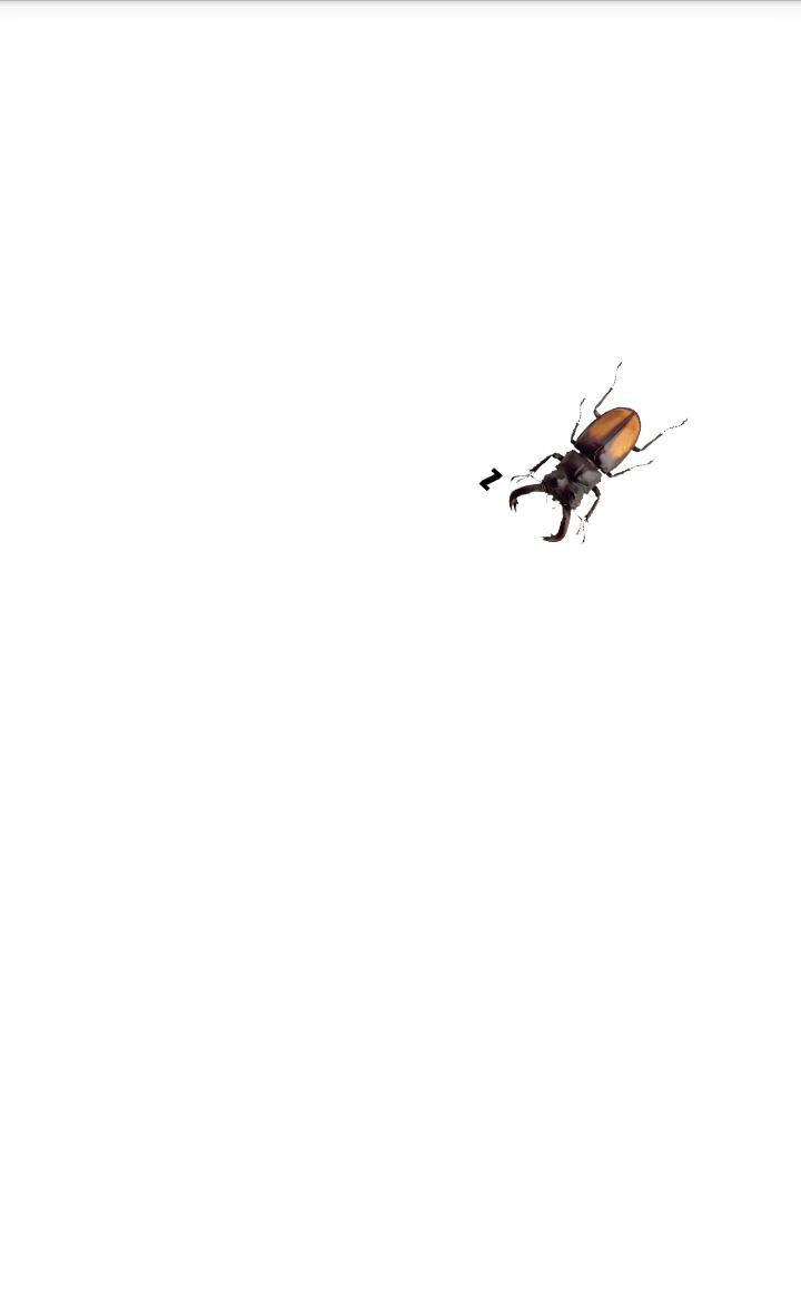 Beetle simulator