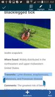 Tickborne Diseases