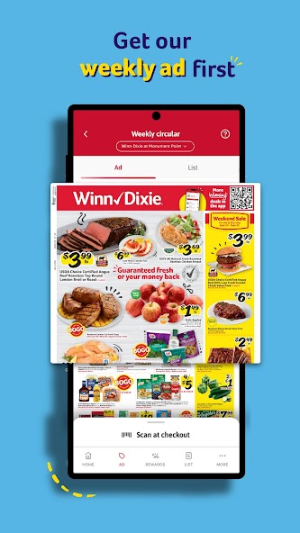 Winn-Dixie