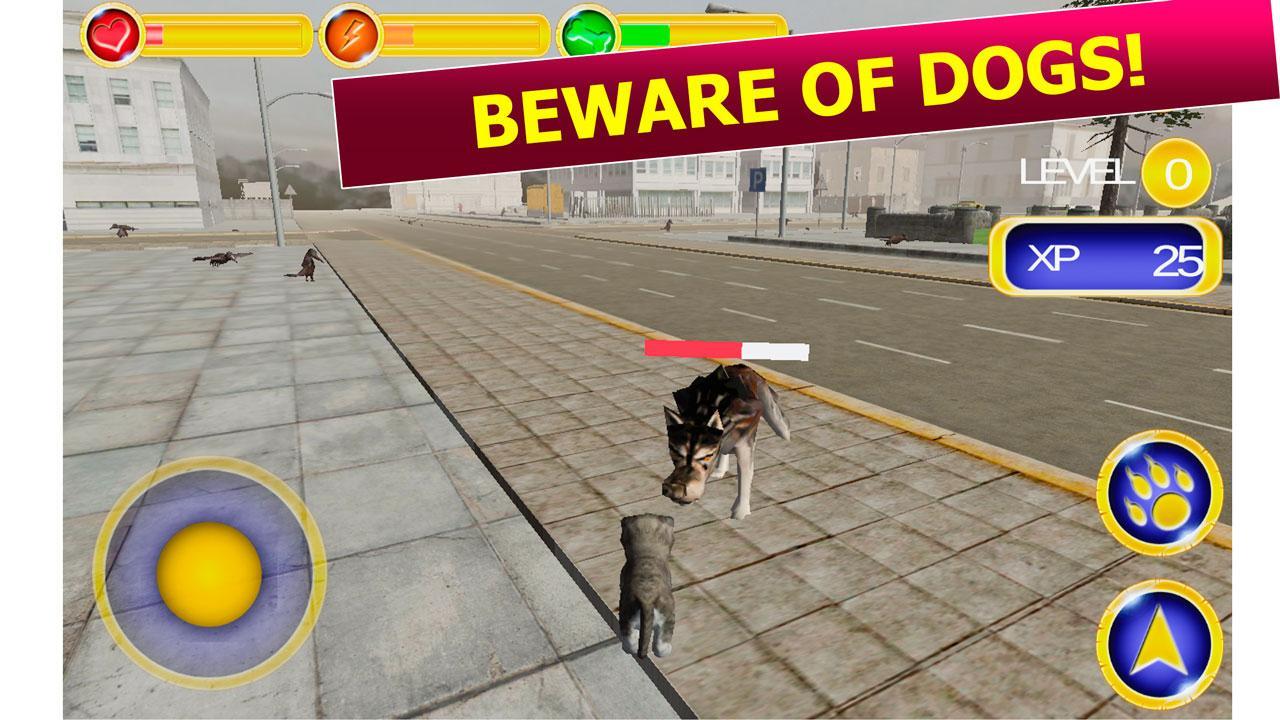 Street Cat Survival Simulator